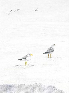 Mouettes sur la plage sur Sandra Steinke