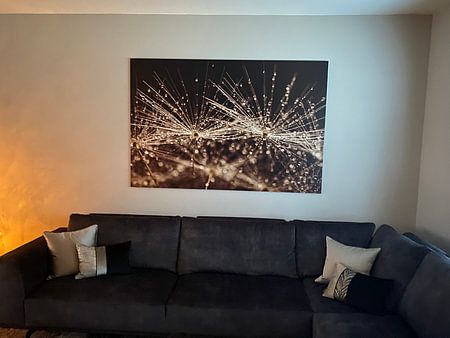 Feast! Droplets sparkle in the light