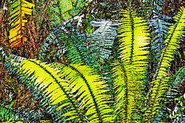 Regenkönigin Palmenblätter im Sonnenlicht mixed media von Werner Lehmann