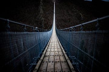 Suspension Bridge Geierlay by Eus Driessen