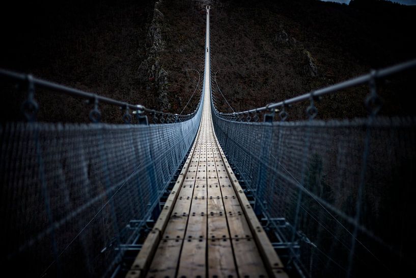 Hangbrug Geierlay van Eus Driessen