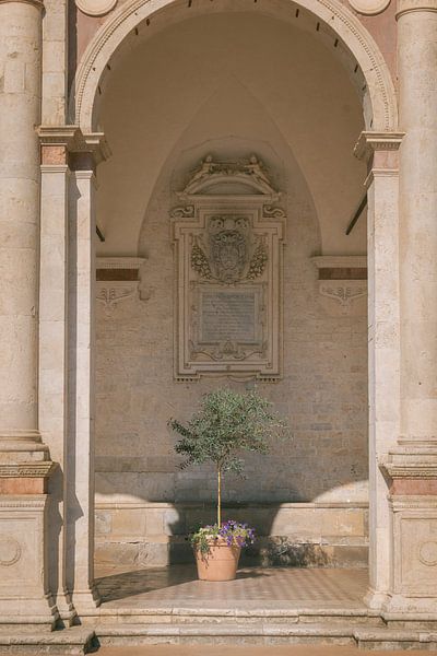 Olivier dans un pot sous la voûte de la cathédrale de Spoleto | Ombrie | Italie par Marika Huisman fotografie