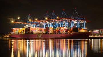 Container ship at the terminal by Sabine Wagner