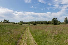 Groningen und Drenthe Veenkoloniën