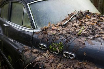  motorkap van een klassiek verlaten autowrak van Ger Beekes