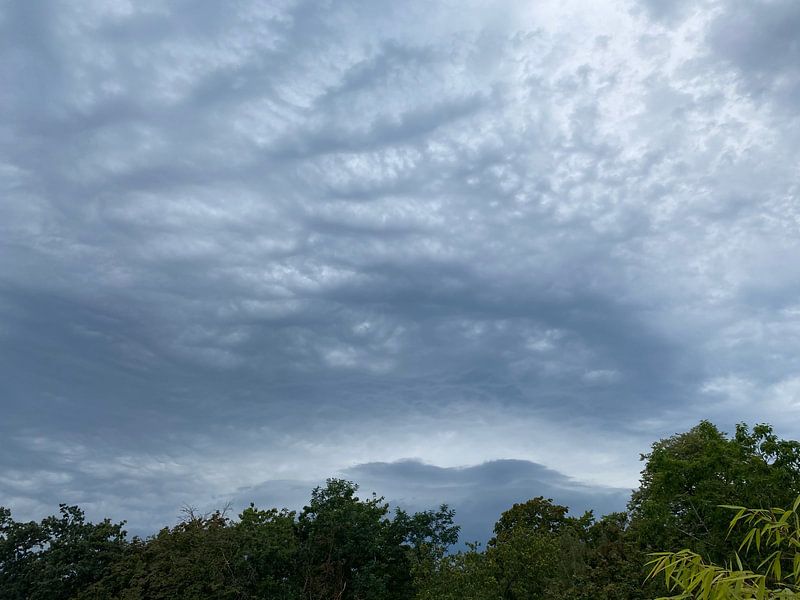 Wolkendek met groen van Emma Van Leur