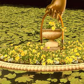 Des profondeurs sur True Color Stories