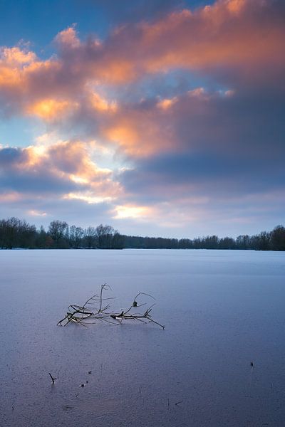 Zonsondergang bij natuurgebied Meinserswijk in de winter. van Rob Christiaans