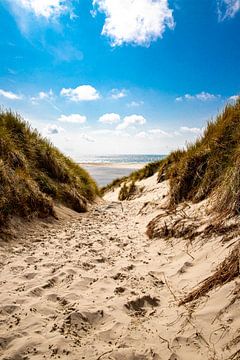 Weg naar het strand bij de vuurtoren van Amrumer van Alexander Wolff