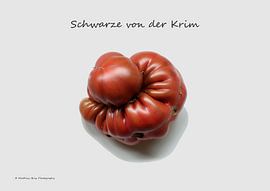 Blacks from the Crimea by Matthias Brix