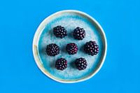 Brombeeren auf einem blauen Teller vor einem blauen Hintergrund