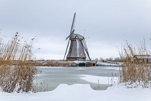 Molen werelderfgoed Kinderdijk in de sneeuw