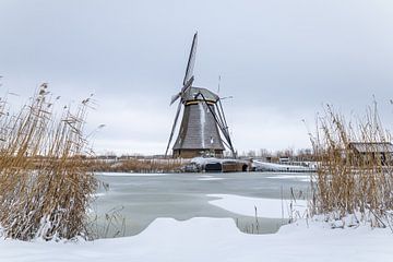 Mill world heritage site Kinderdijk in snow by Mark den Boer