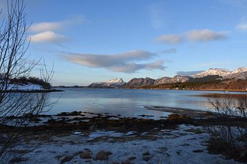 Fjord in de winter van Gideon Onwezen