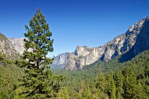 YOSEMITE VALLEY  von Melanie Viola