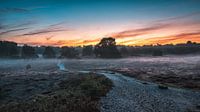 Brouillard matinal dans la Westruper Heide par Steffen Peters Aperçu