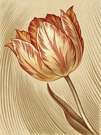 Vintage Striped Tulip by Artistic