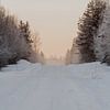 IJsweg in Lapland - Arctische fotoprint van sonja koning