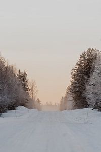 IJsweg in Lapland - Arctische fotoprint van sonja koning