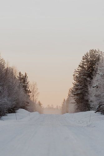 Ice road in Lapland - Arctic photo print
