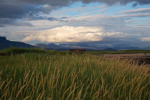 Boerderij in IJslands landschap