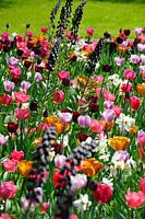 Lente op Keukenhof