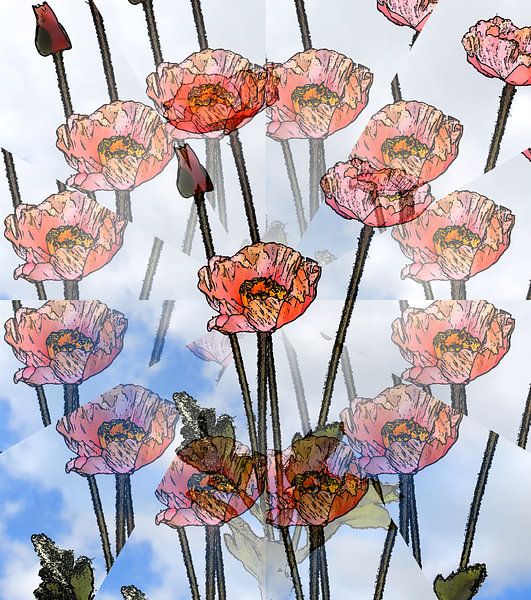 Coquelicot de l'illusion par Jose Lok