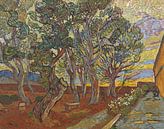 Vincent van Gogh, Der Garten des Establishments von 1000 Schilderijen Miniaturansicht