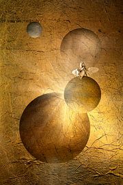Celestial. Christmas. by Alie Ekkelenkamp