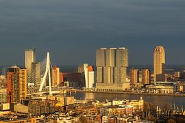Rotterdam in der goldenen Stunde von Ilya Korzelius