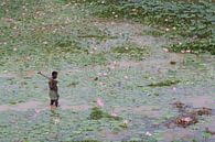 Man wadend door vijver met bloeiende lotussen in India van Danielle Roeleveld thumbnail