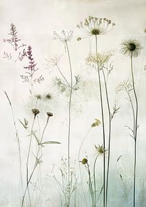 Wildblumen