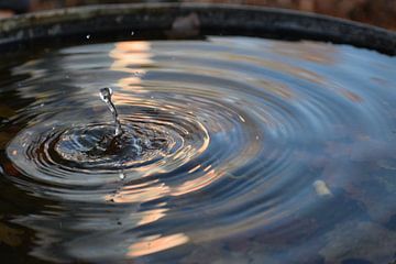 Druppel by Willy Coersen