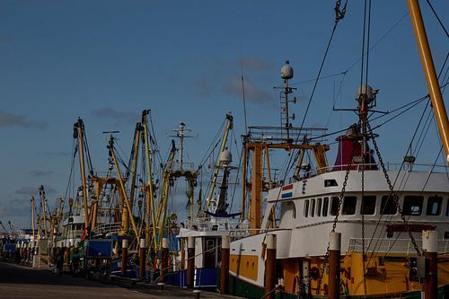 Fishing boats in evening light