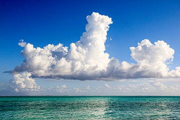 Bora Bora strand @ Bora Bora, Frans Polynesie van Travel Tips and Stories