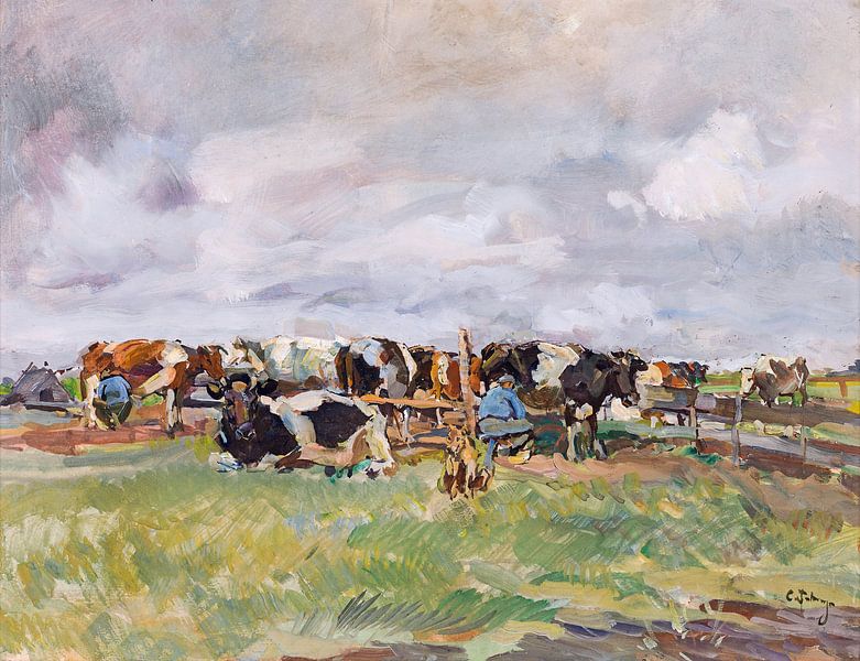 Holländische Kühe, Carl Fahringer von Atelier Liesjes