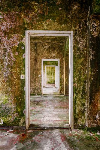 Dit zijn foto's die gewoon niet te evenaren zijn - ze zijn eenvoudig en sober.