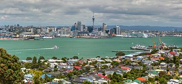 Panoramablick auf die Stadt Auckland aus der Luft von Yevgen Belich