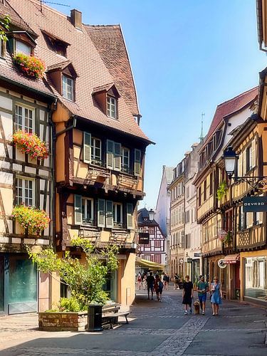 Colmar von Digital Art Nederland