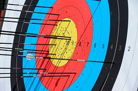 Boogschieten doel met veel pijlers van Richard Wareham