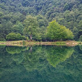 Reflet dans un lac de montagne dans les Pyrénées (France) sur Martijn Joosse