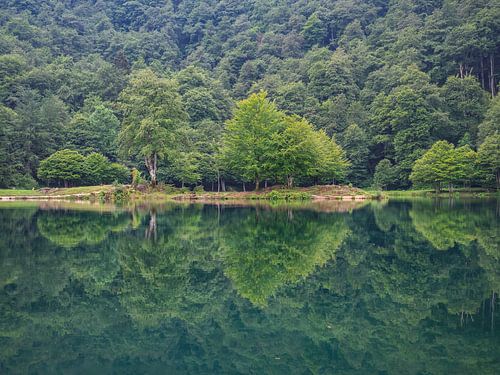 Reflectie in een bergmeer in de Pyreneeën (Frankrijk)
