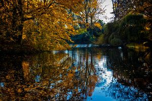 Herbst in Utrechter Julianapark