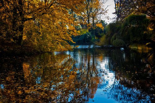 Herfst in het Julianapark