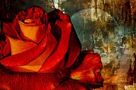 Eine Rose für die Ewigkeit von Max Steinwald Miniaturansicht