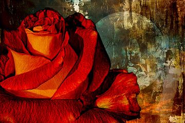 Een roos voor de liefde van Max Steinwald