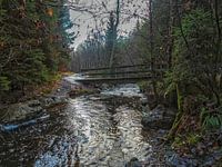 Onderde loopbrug stromend rivier Bayehon