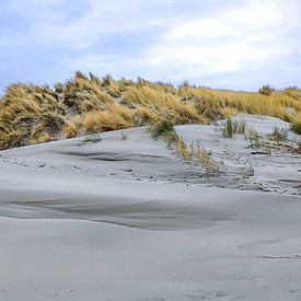 Zandduinen van Ameland van Annemarie Veldman
