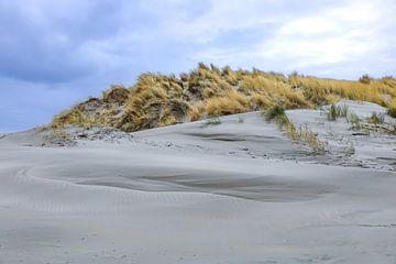 Zandduinen van Ameland van Annemarie Veldman