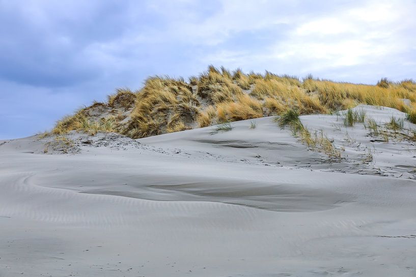 Sand dunes of Ameland by Annemarie Veldman